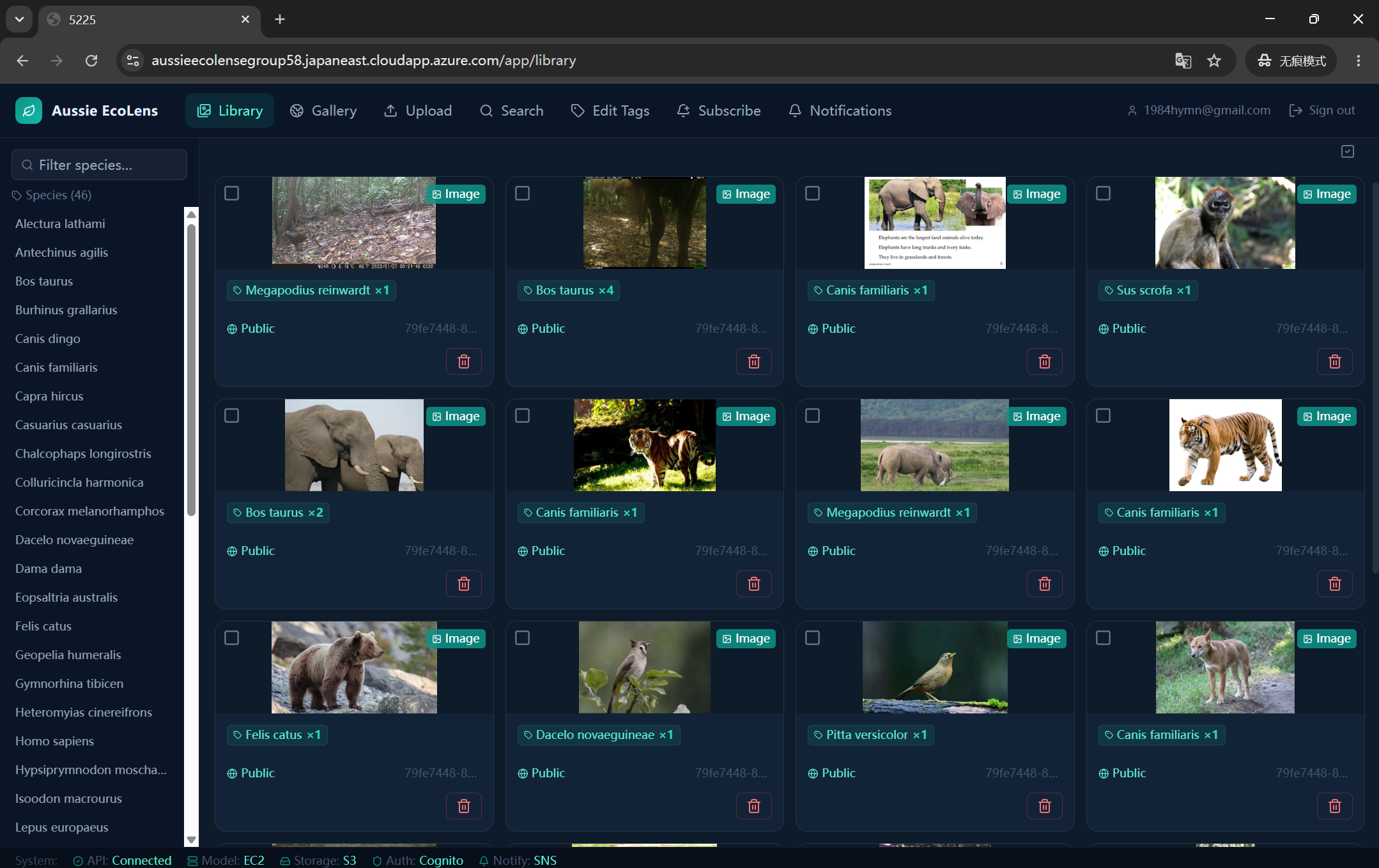 Aussie EcoLens — Multi-Cloud Wildlife Media Platform